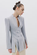 Blue Blazer