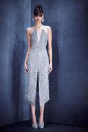 Embroided Lace Dress