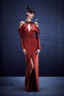 Draped Sleeve Dress