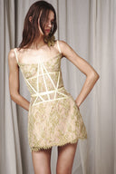 Lace Mini Dress
