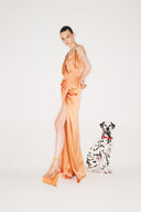 Maxi Draped Dress